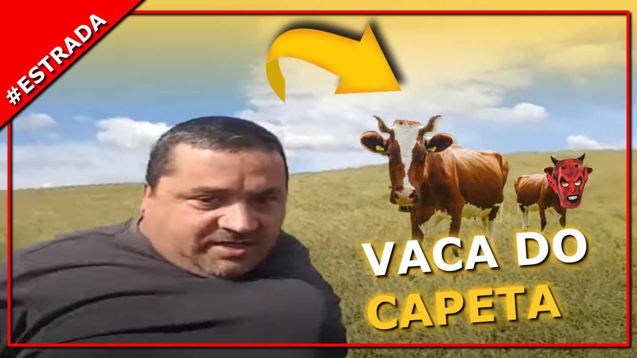🐃Vaca do capeta, Ainda pisei na merda diesel cologne