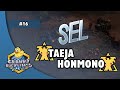 Taeja vs HonMonO - TvT | StarCraft Evolution League #16 | Biweekly SC:Evo Mod Tournament