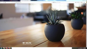 How to Back Up a Website