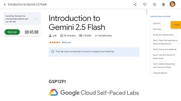 Introduction to Gemini 2.5 Flash GSP1291