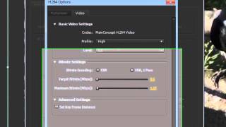 adobe after effects cs5 help pdf download