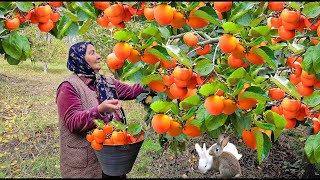 видео: Вкусно и просто! 🍁 Как в деревне сушат хурму на зиму картинка: Вкусно и просто! 🍁 Как в деревне сушат хурму на зиму