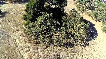 Fastbat - Tricopter test run