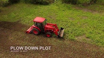 See why micro plots are so effective and what you can learn.