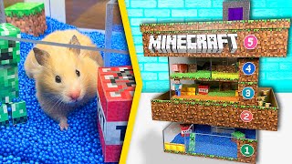 Hamsters in 5 - Level Minecraft Maze | Pool maze for hamsters