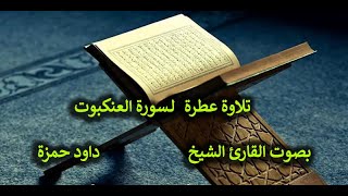 29- تلاوة عطرة لسورة العنكبوت بصوت القارئ الشيخ أحمد داود حمزة