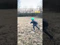 Little man thought he could make it lol!😂😂😂 #fyp #relatable #viral #lol