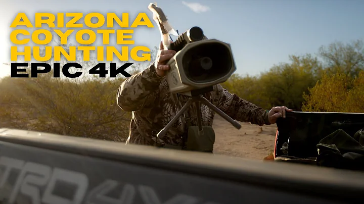 Early November Coyote hunting in Arizona: Heart pounding up close action 4k footage