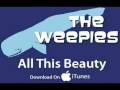 The Weepies - All This Beauty (Audio)