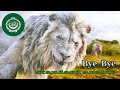 Mufasa The Lion King Bye Bye Standard Arabic