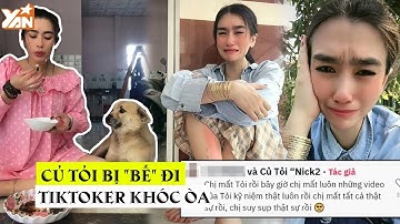 Củ Tỏi - Chú chó nổi tiếng trên Tiktok bị "bế" đi: Chủ khóc ròng, tìm tòi suốt đêm