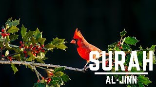 Best Quran Recitation amazing | Emotional Quran Recitation || by Sheikh Abu Usamah || Surah Al-Jinn