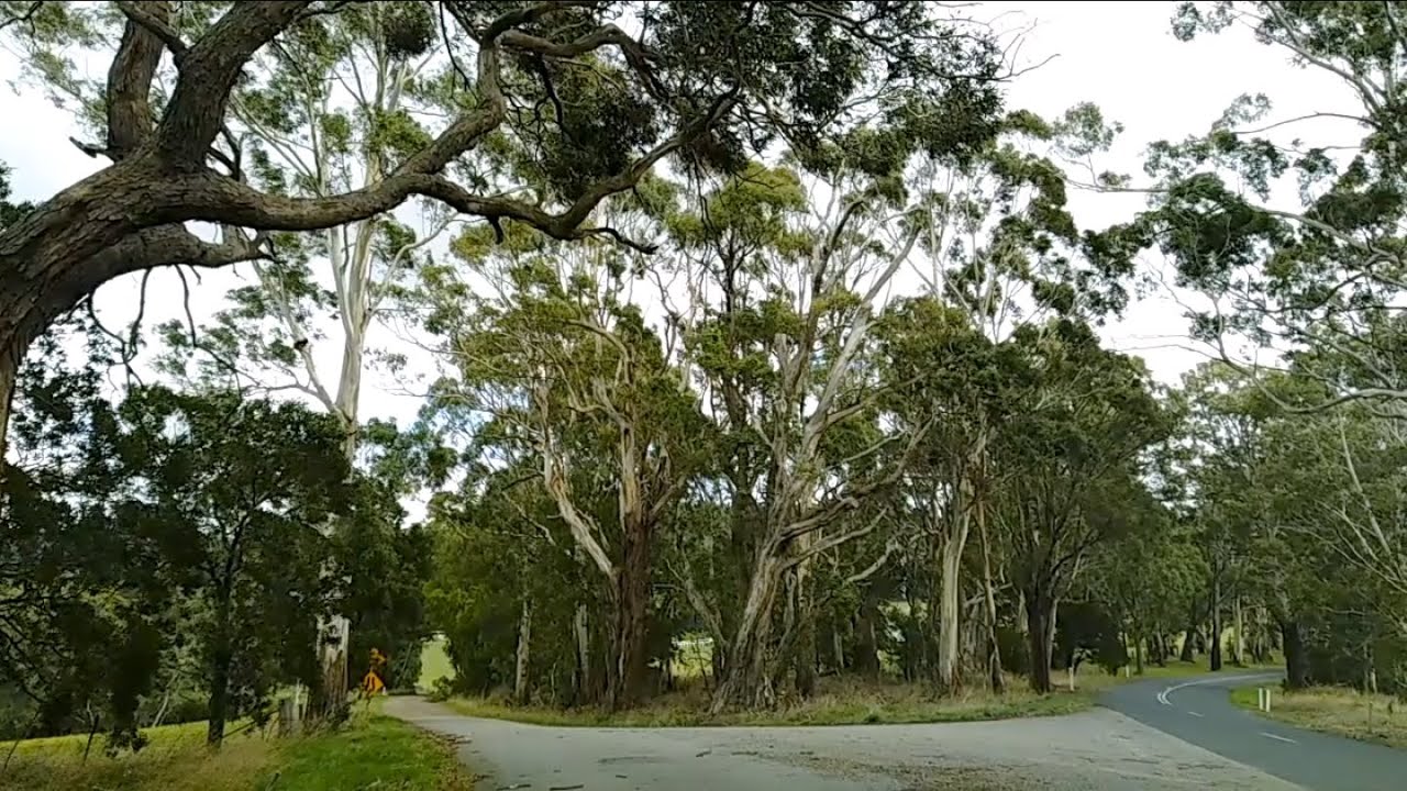 Romsey Rd Straws Ln Mount Macedon Rd YouTube