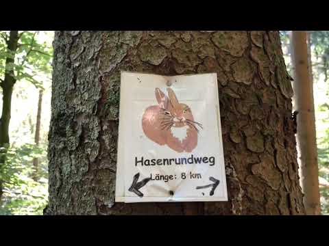 Auf dem Hasenweg zu Schillergrotte, Bembemperlestein & Hohler Stein