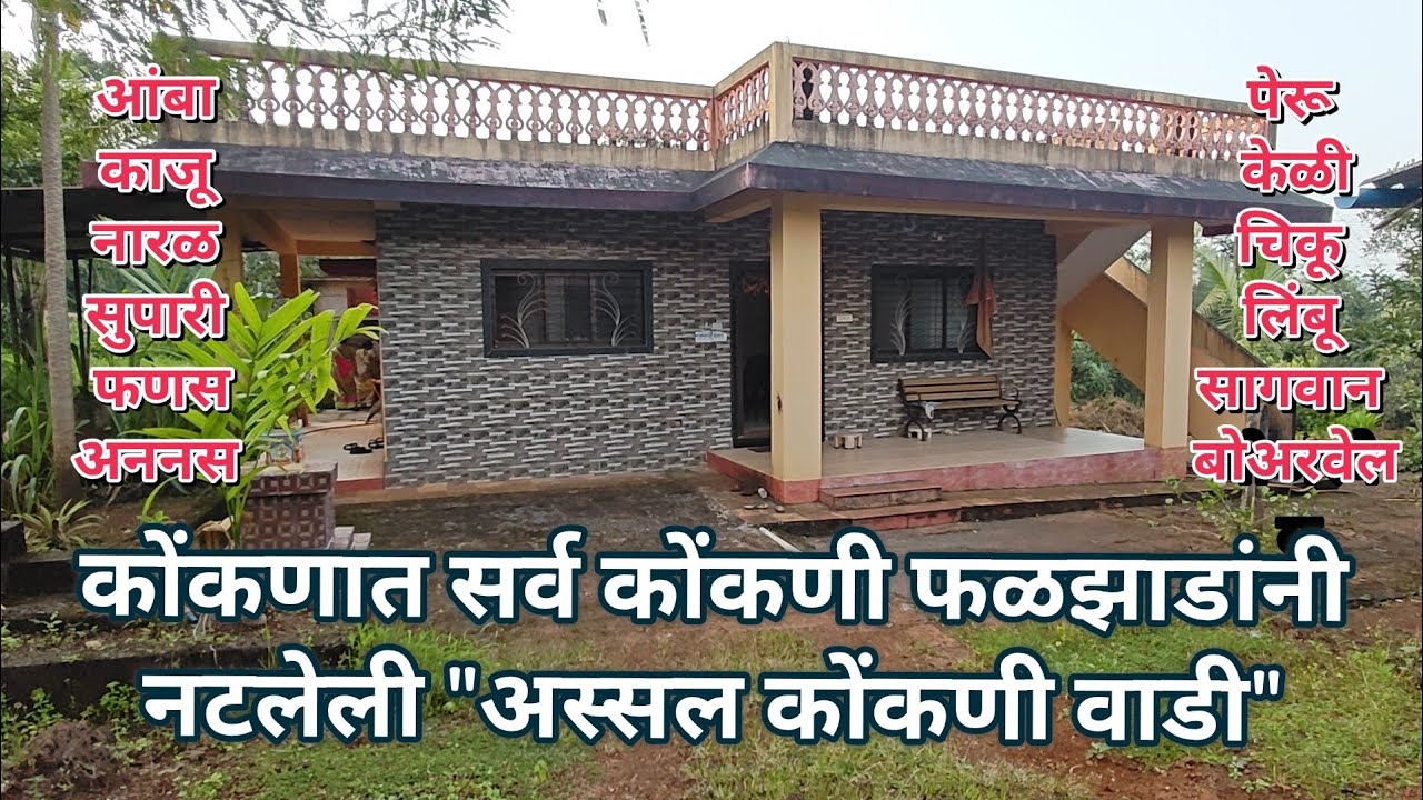 रत्नागिरी जिल्ह्यात कोंकणी फळझाडांनी बहरलेली १९ गुंठे शेतजमीनीमध्ये अप्रतिम कोंकणी वाडी विकणे आहे! 