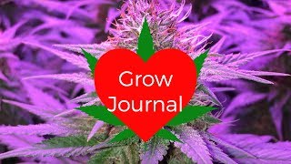 Grow Journal : Blue Dream Indoors