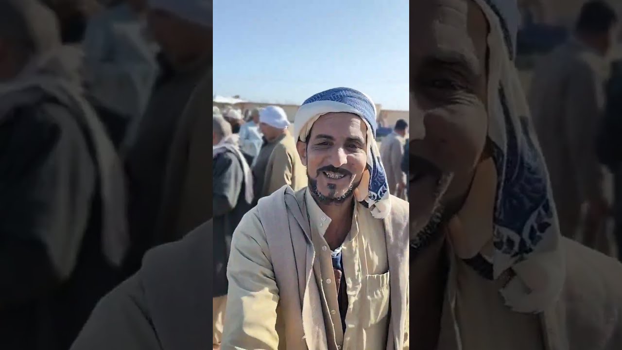 اسعار العجميات البقري اللحم في سوق سيدي غازي تبع كفر الدوار بحيره