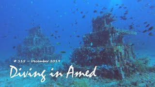 Diving in Amed - Indonesia