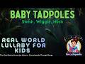 Tadpoles 101 | Learn How Tadpoles Grow | Gentle Kids Song | Encyclopedia Through Songs