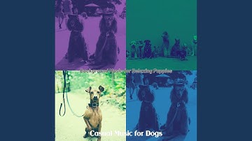 Pulsating Music for Calming Dogs