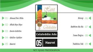 Celaleddin Ada - Hasret Resimi