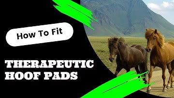 How to Fit EPS Pads to Hoof Boots