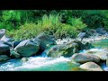 Serene River Sounds | Peaceful Waterfall River for Restful Sleep