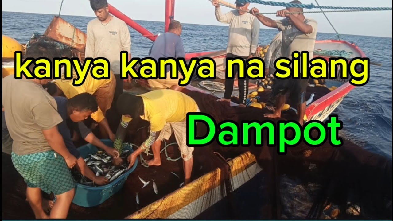 Pinagkakaguluhan na Ang mga Nora na isda at mga maliliit na galonggong