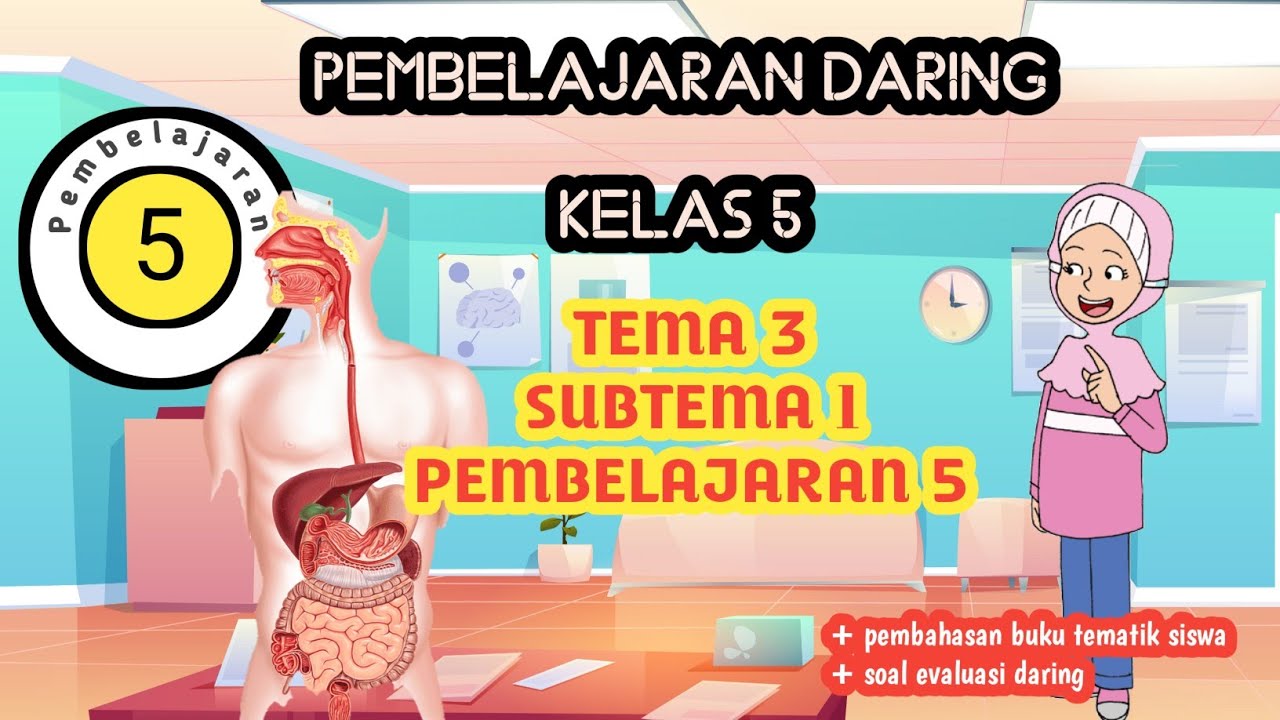 Pembelajaran Daring Kelas 5 Tema 3 Subtema 1 Pb 5 Fungsi Organ Organ Pencernaan Manusia Youtube