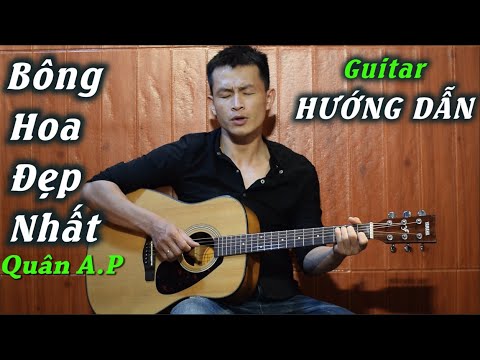 Video BÔNG HOA ĐẸP NHẤT-QUÂN A.P | Guitar Hướng Dẫn | Phong... - youtube