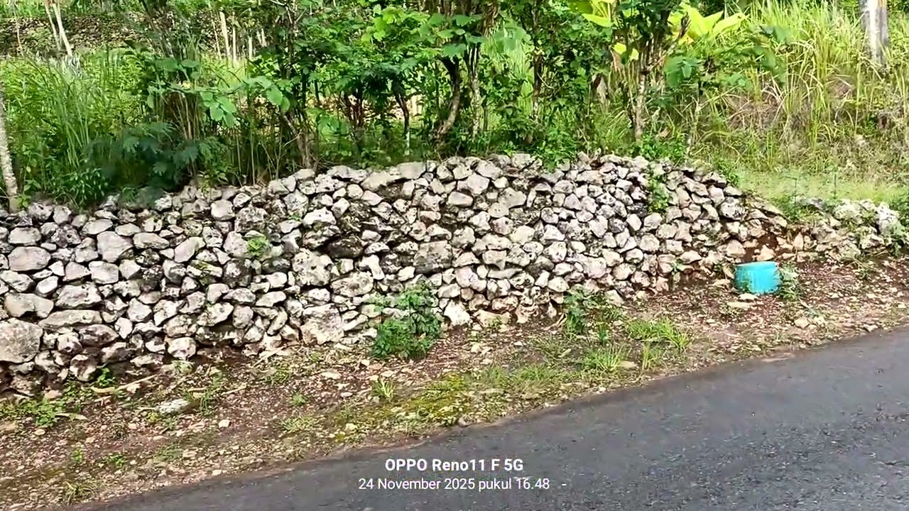 Terjual✅Jual tanah Murah SHM luas:5300m² harga:300 juta.