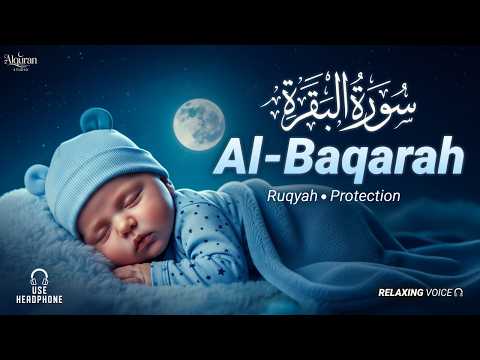 Beautiful Surah Al-Baqarah سورة البقرة | Ultimate Soothing Recitation for Peace - By Alaq Aqel