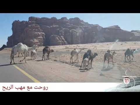 روحت مع مهب الريح