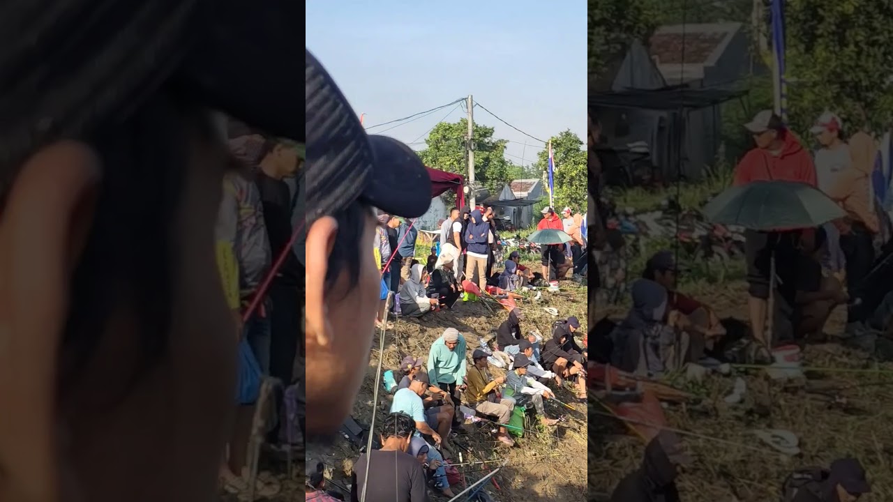 Membludak nya mancing Gratis di kali Gabus. 