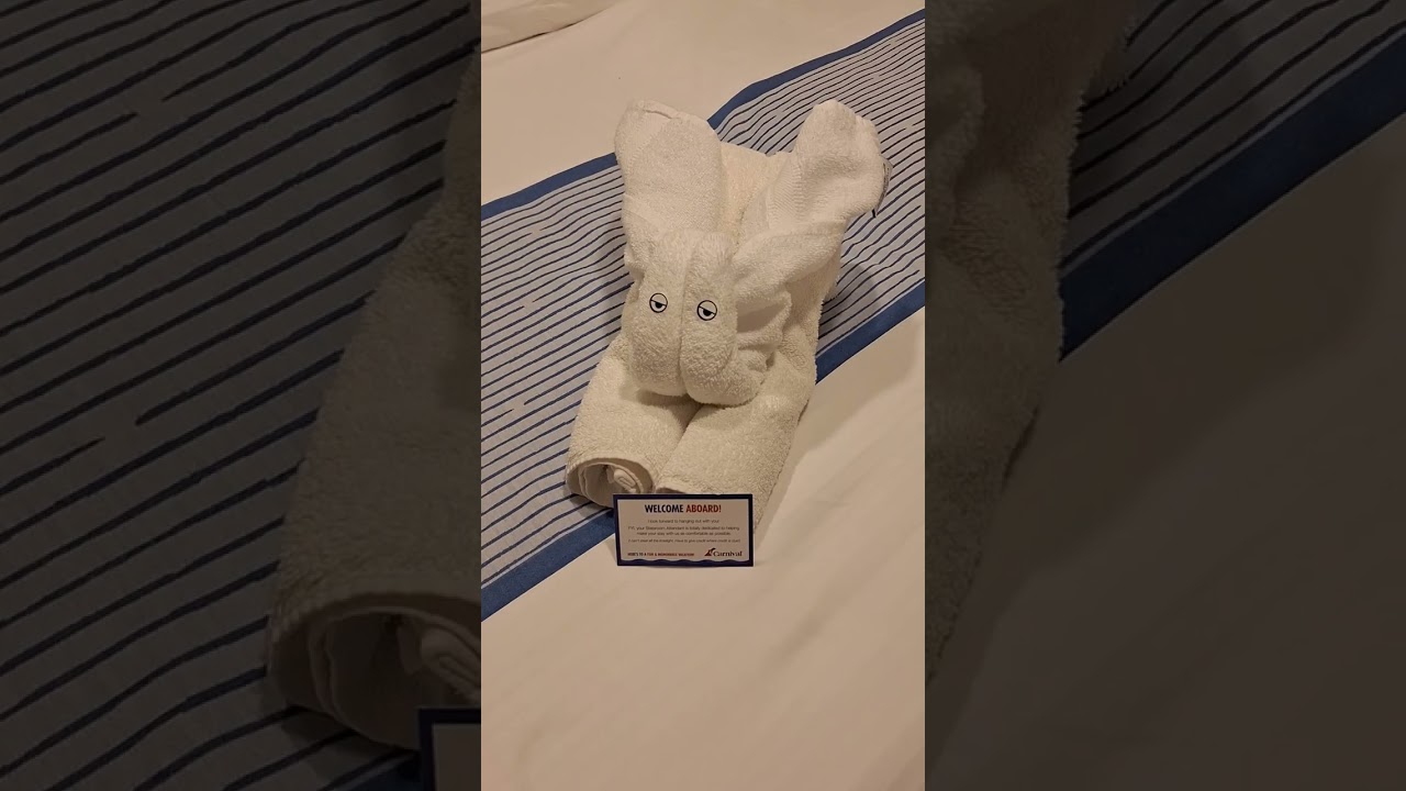 My Interior Stateroom On Carnival Encounter 11 September 2026.