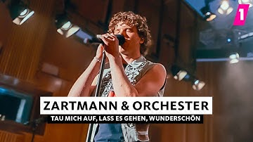 Thumbnail of Zartmann ft. WDR Funkhausorchester – Live-Session schönhauser EP | 1LIVE