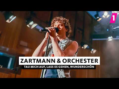 Zartmann Ft Wdr Funkhausorchester Live Session Schönhauser Ep 1live Zartmann Ft Wdr Funkhausorchester Live Session Schönhauser Ep 1live