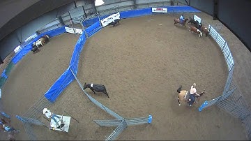 Big Sky Ranch Sorting Saddle Series #6 - Open - Round #2 - Ride #8