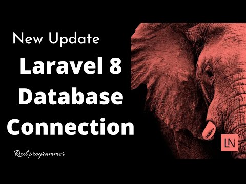 Laravel 8 Database Connection