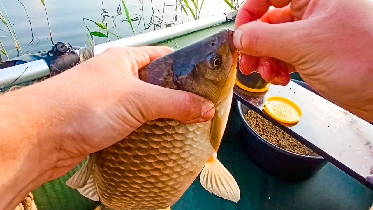 Ведро КАРАСЕЙ на САМОДЕЛЬНУЮ ПРИКОРМКУ!! Делюсь рецептом!! Ловля КРУПНОГО КАРАСЯ на ПОПЛАВОК!!