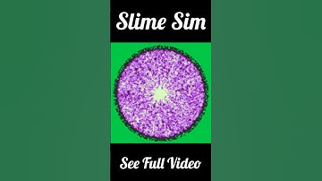 Slime Mold Simulation