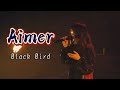 Aimer-Black Bird 中日字幕