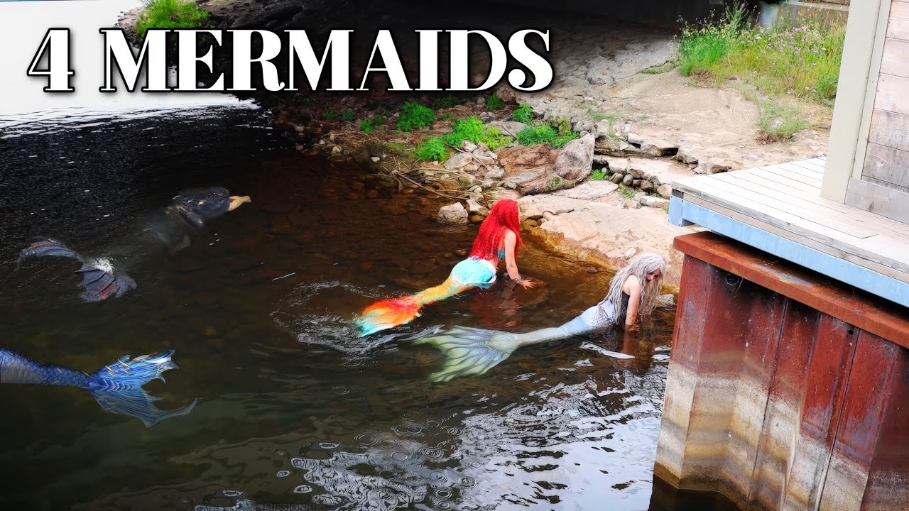 4 MERMAIDS SWIMMING IN THE EAST JORDAN RIVER (at the Up North Busker