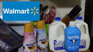 MINIMAL WALMART GROCERY HAUL SUMMER 24