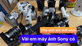 Vài em máy ảnh mirrorless cỏ của nhà Sony