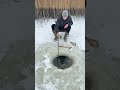 Riesige Karpfen aus dem gefrorenen Eis gezogen #icefishing #fishing #carpfishing  #angeln #shorts