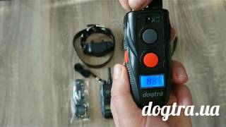 Обзор и сравнение электроошейников Dogtra 1900S vs Dogtra ARC