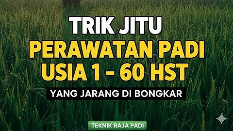 TRIK JITU PERAWATAN PADI 1–60 HARI, ANAKAN BANYAK & PADI SUBUR MAKSIMAL