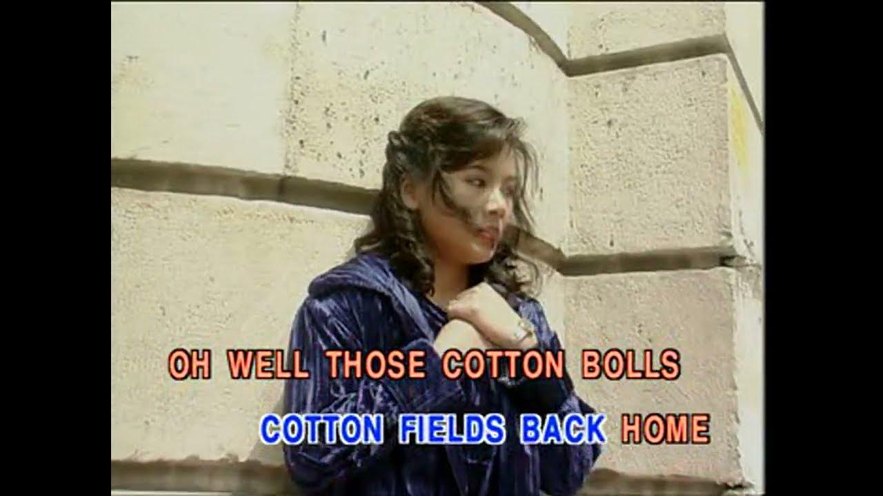 Cotton fields MV Karaoke HD YouTube