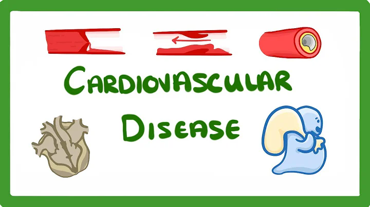 GCSE Biology - Why Do We Get Heart Disease and How to Treat It? - Cardiovascular Disease (CVD)  #47 - DayDayNews